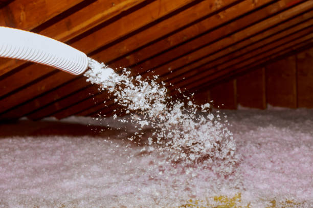 Best Commercial Insulation in Hazen, AR
