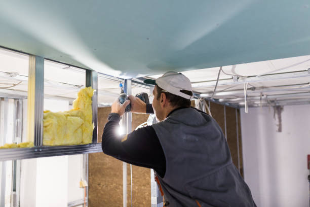 Best Cellulose Insulation in Hazen, AR