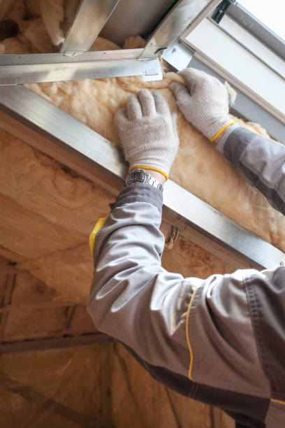 Best Insulation Maintenance and Repair in Hazen, AR