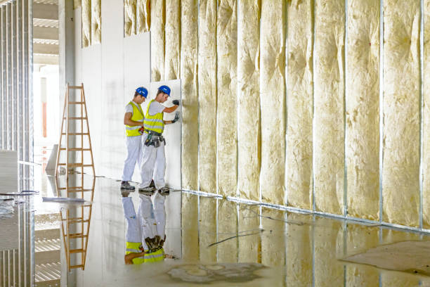 Best Spray Foam Insulation in Hazen, AR